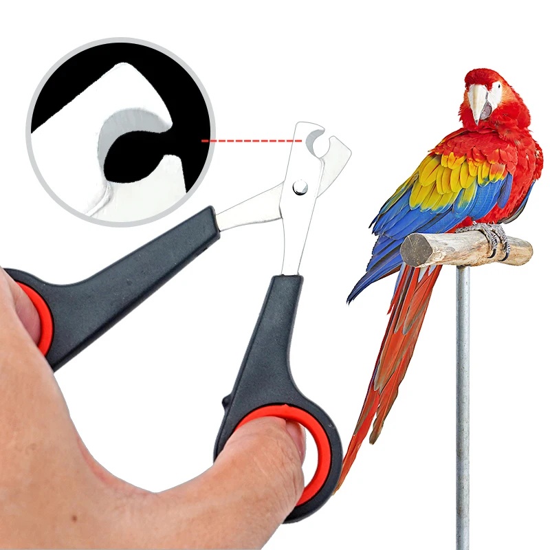 12cm Nagelschaar voor Huisdier - Grooming Scissors recensie en prijs